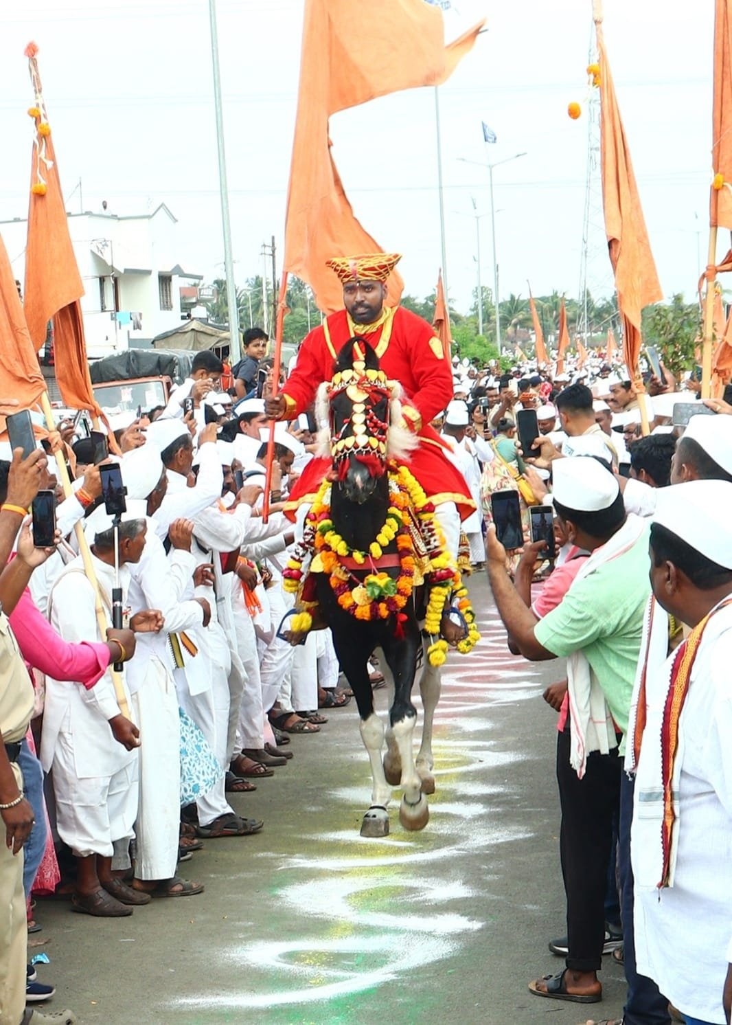 पंढरीच्या वारीत 'मुक्या' जीवांची अनोखी विठ्ठल सेवा