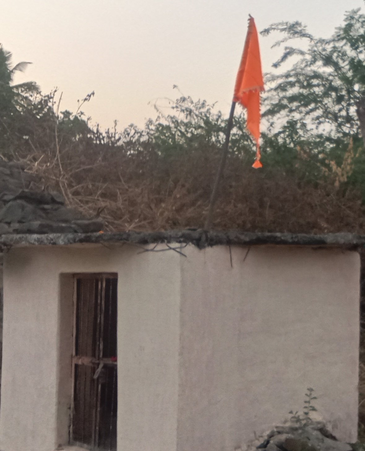 "पिलीव येथे नृसिंह जयंती उत्साहात साजरी"