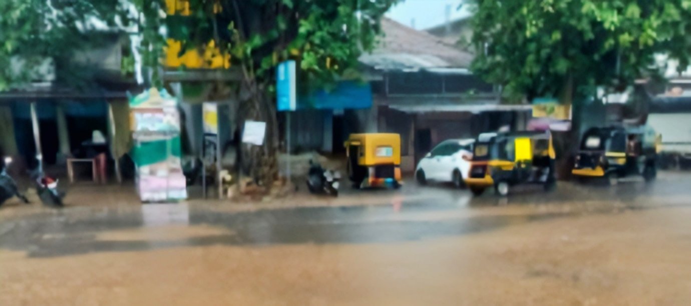 वैभववाडीत मान्सूनचे दमदार आगमन...