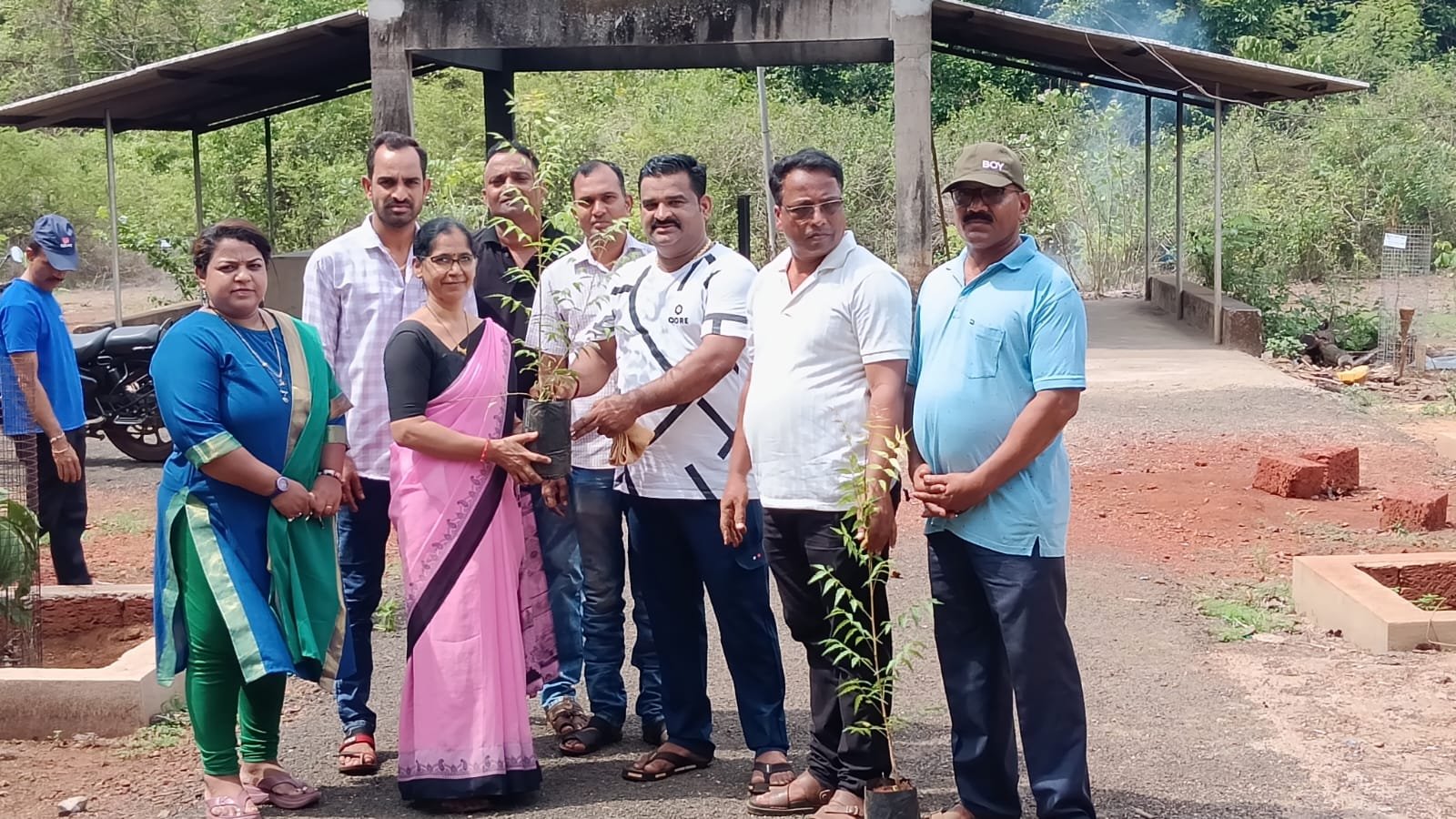 जागतिक पर्यावरण दिनानिमित्त कळसुली गावात वृक्षारोपण
