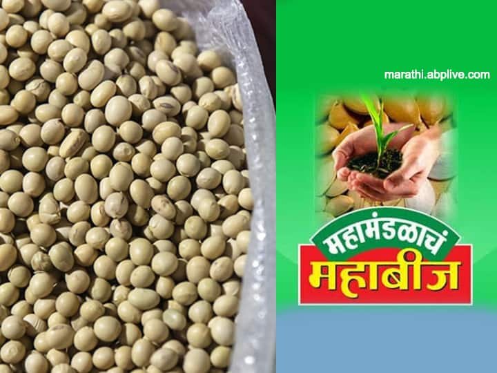 महाबीजमधील रिक्त पदांचा प्रश्न पेटणार; ५० टक्क्यांहून अधिक जागा रिक्त!